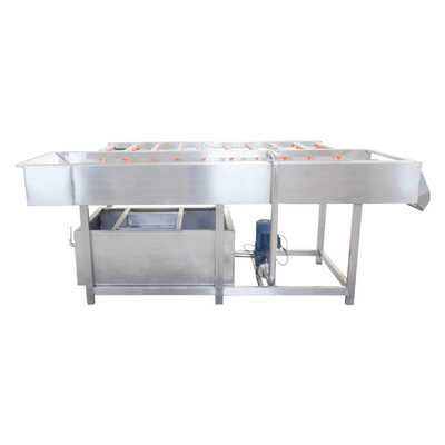 Jujube Verschiedene 300 kg Obst- und Gemüsewaschmaschine