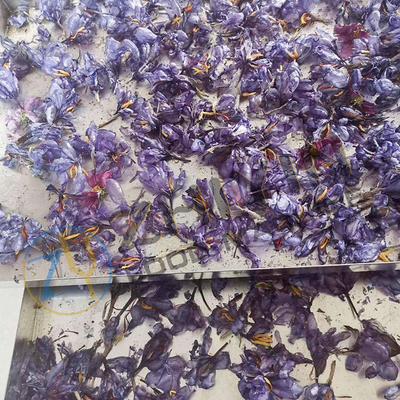 20m2 Vakuum-Froot-Trocknungsmaschine für Gemüsescheiben