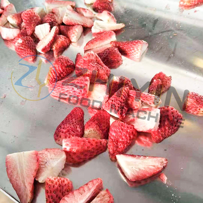 5m2 Gefriertrocknungsmaschine Jujube Gefriertrocknungsmaschine