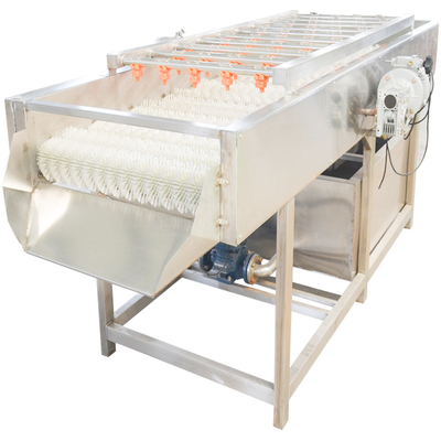 Parallelroller Meeresfrüchte 800kg Obst- und Gemüsewaschmaschine