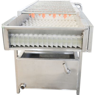 Parallelroller Meeresfrüchte 800kg Obst- und Gemüsewaschmaschine