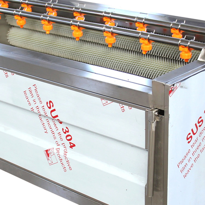 9 Psc Roller Brush Rüben Zwiebel 300 kg/h Gemüse Schälmaschine