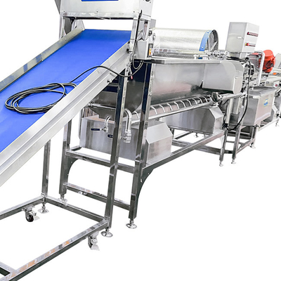 Scallion 1900 kg/h Gemüsewasch- und Trocknungsmaschine