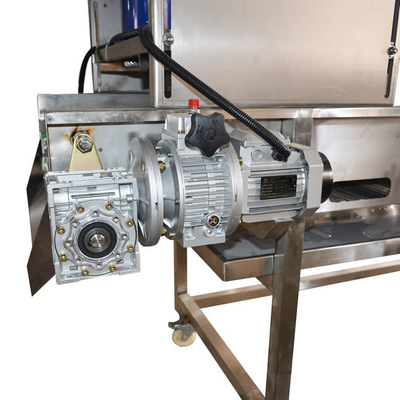 OEM ODM 1000mm Gürtel 380V Jackfrucht Frucht Trocknungsmaschine Industrie