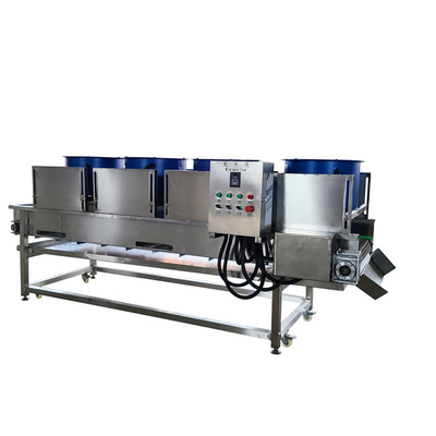 800 kg/h 600 KG 10,1 kW Obst und Gemüse Trocknungsmaschine