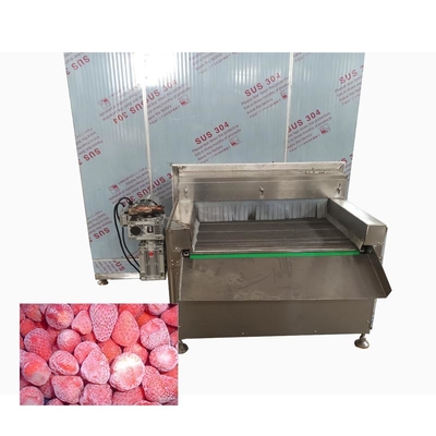 SUS304 Fischfuttergefriermaschine 1500 kg/h Iqf Tunnelgefriermaschine