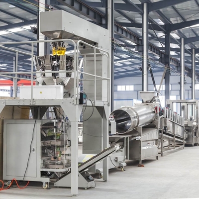 Produktionslinie für gefrorene Pommes 2000 kg/h Produktionslinie für Kartoffelchips
