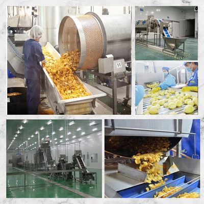 10m*2m*2m Pommes Frites Produktionslinie Die perfekte Lösung für Ihr Unternehmen