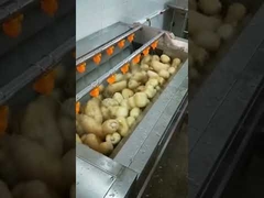 Potato peeling machine,vegetable washing peeling machine