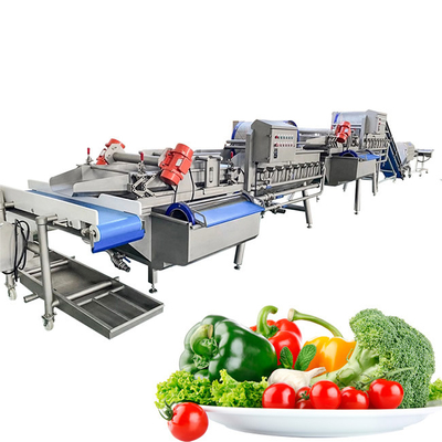Zwiebelzwiebeln 2000 kg/h Obst- und Gemüsewaschmaschine