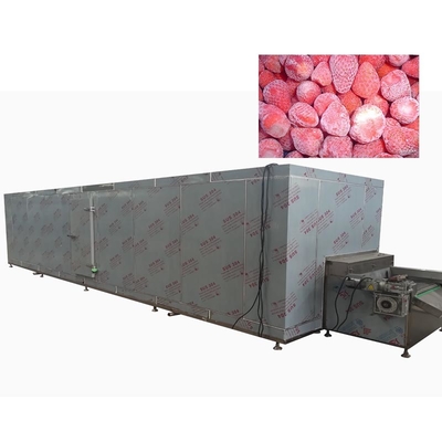 Dauerluftgekühlte Frucht- und Lebensmittelgefriermaschine 1800 kg/h