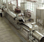 Diesel 800 kg/h 900 kg/h SUS304 Vollautomatische Fertigungslinie für Pommes
